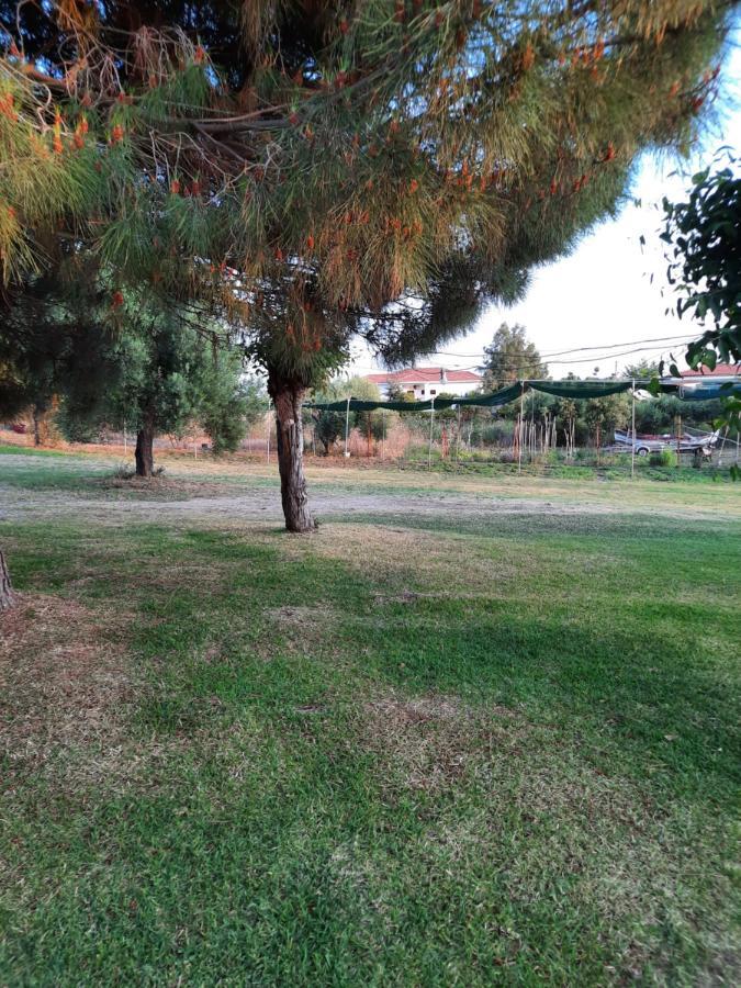 טורוני Bungalows Anestis מראה חיצוני תמונה