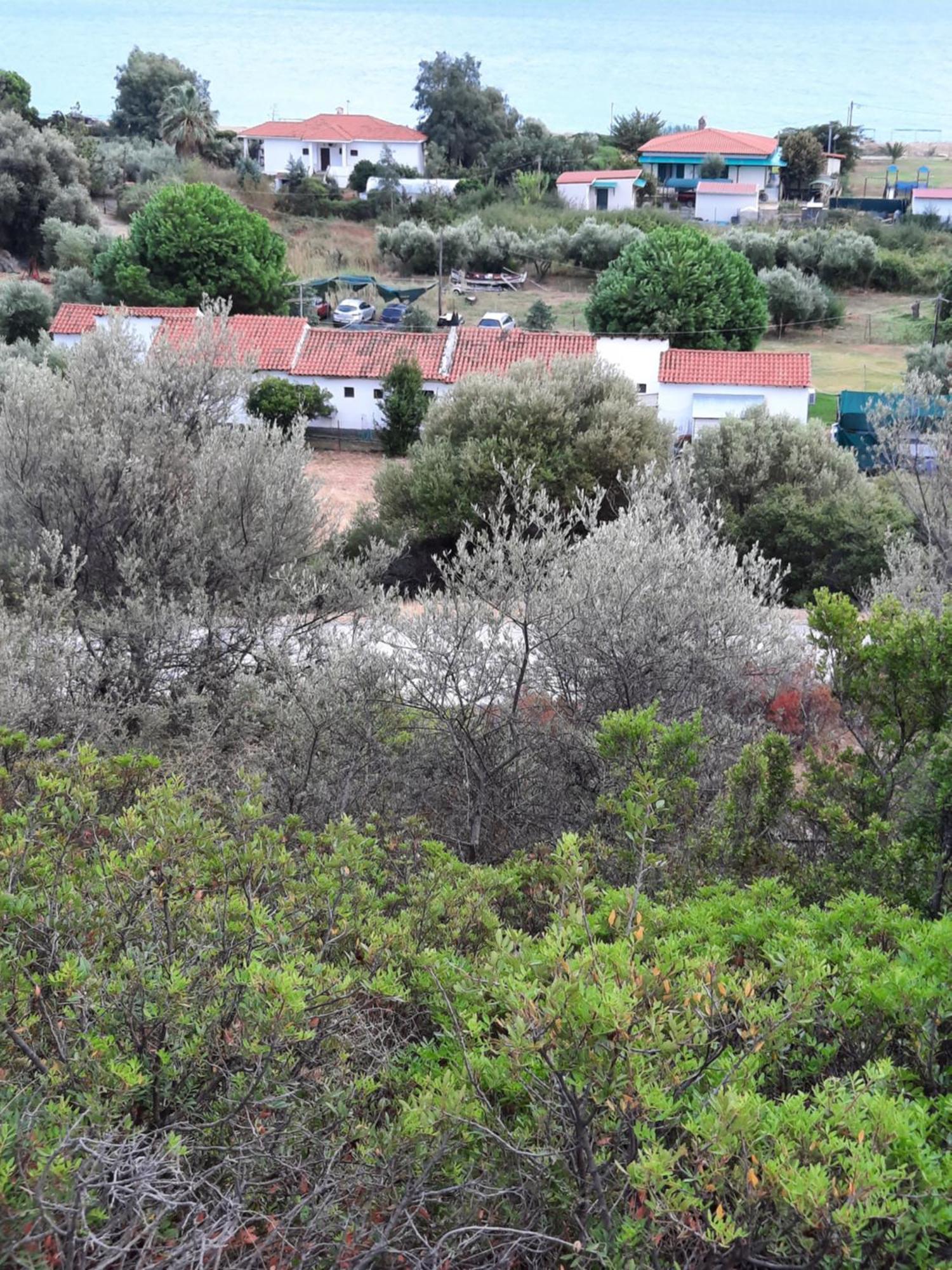 טורוני Bungalows Anestis מראה חיצוני תמונה
